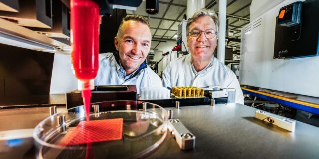 Magnus Berggren and Olle Eriksson, Director and Co-Director of WISE.