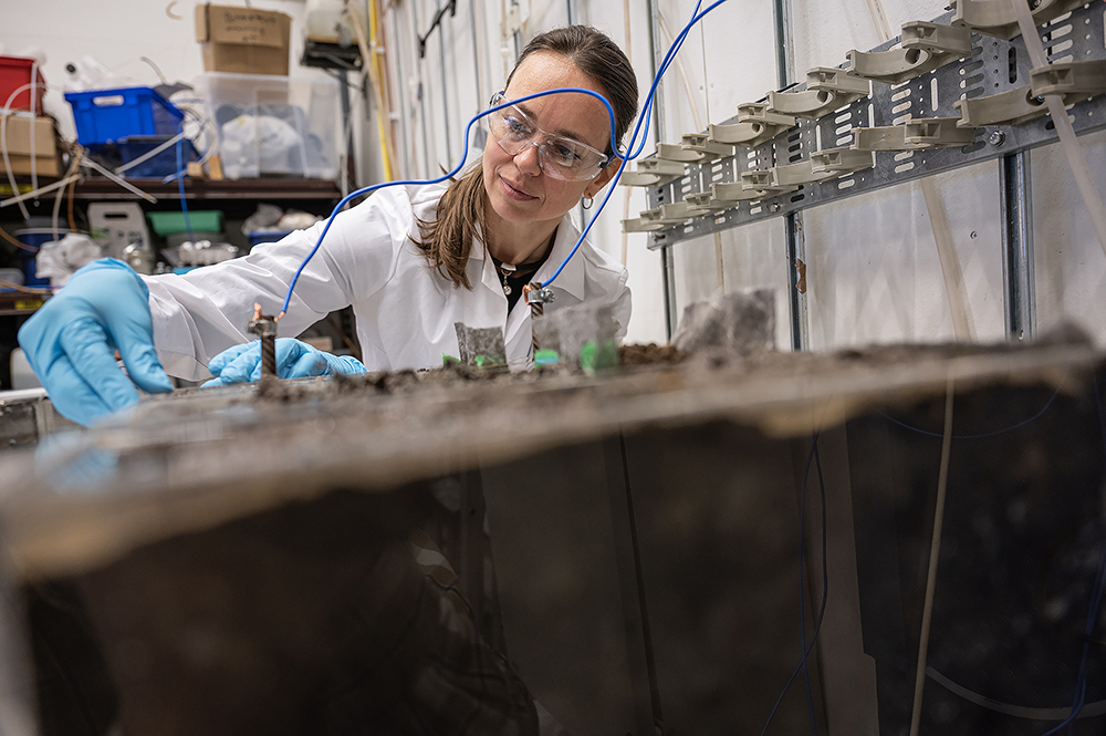 Professor Waste Science and Technology,experiment using electrolysis to decompose PFAS.